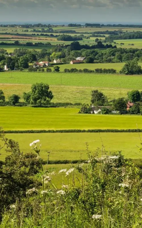 land